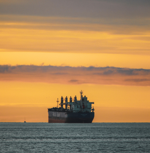 Supporting Sustainable Agriculture: Novo Fuel Trading’s Agricultural Commodities Division Grows